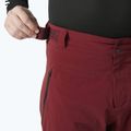 Штани лижні чоловічі Helly Hansen Alpha Lifaloft mars red 3