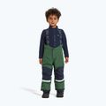 Комплект гірськолижний дитячий Didriksons Skare pine green 10