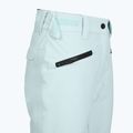Штани сноубордичні жіночі Colourwear Cork lt blue 12