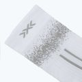 Шкарпетки X-Socks Terraskin Perform Crew x white/silver grey 3