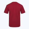 Чоловіча футболка Aeronautica Militare Essential бордова 2