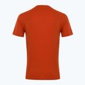 Чоловіча футболка EA7 Emporio Armani Visibility Cotton Crew з чаєм ройбуш 2