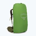 Рюкзак трекінговий Osprey Kestrel 38 л moss green 5