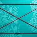 SUP ABSTRACT Coral 10'6'' топазова дошка 3