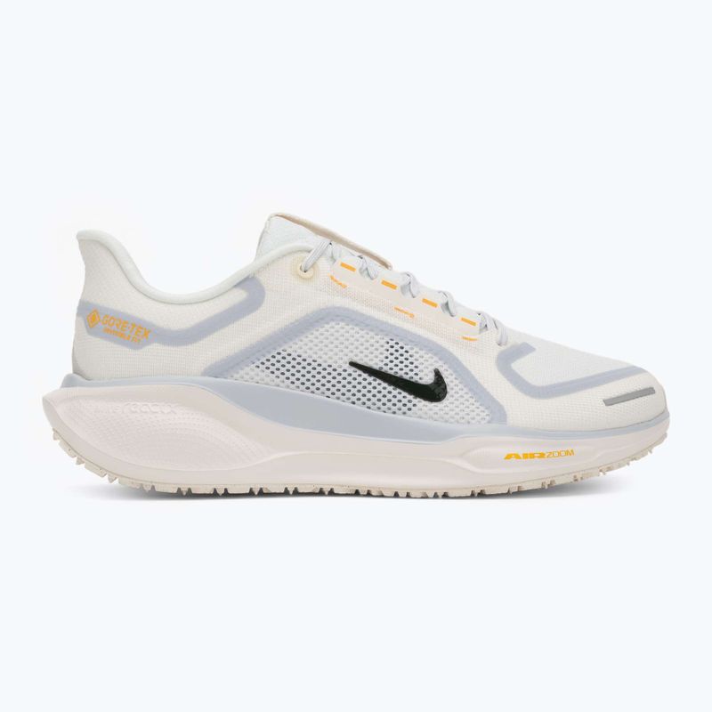 Кросівки для бігу чоловічі Nike Pegasus 41 GTX sail/football grey/sundial/ashen slate 2