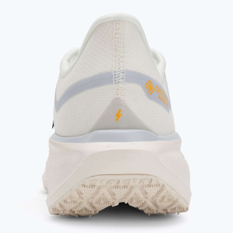 Кросівки для бігу чоловічі Nike Pegasus 41 GTX sail/football grey/sundial/ashen slate 6