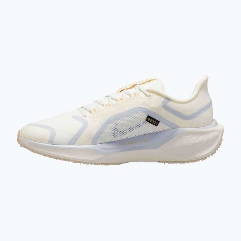 Кросівки для бігу чоловічі Nike Pegasus 41 GTX sail/football grey/sundial/ashen slate 9