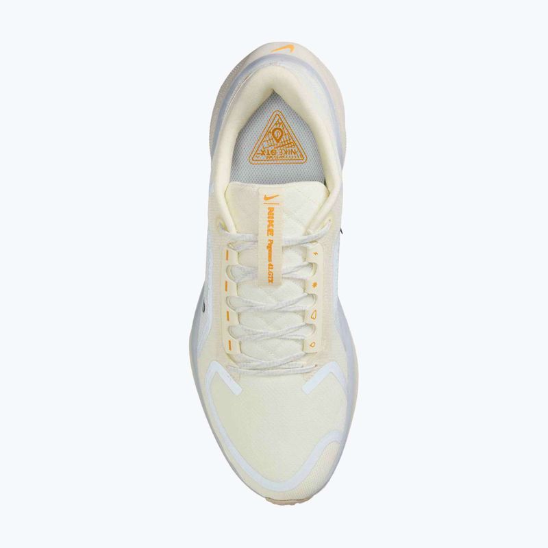 Кросівки для бігу чоловічі Nike Pegasus 41 GTX sail/football grey/sundial/ashen slate 10