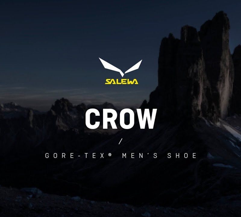 Черевики для альпінізму чоловічі Salewa Crow GTX коричневі 00-0000061328 12