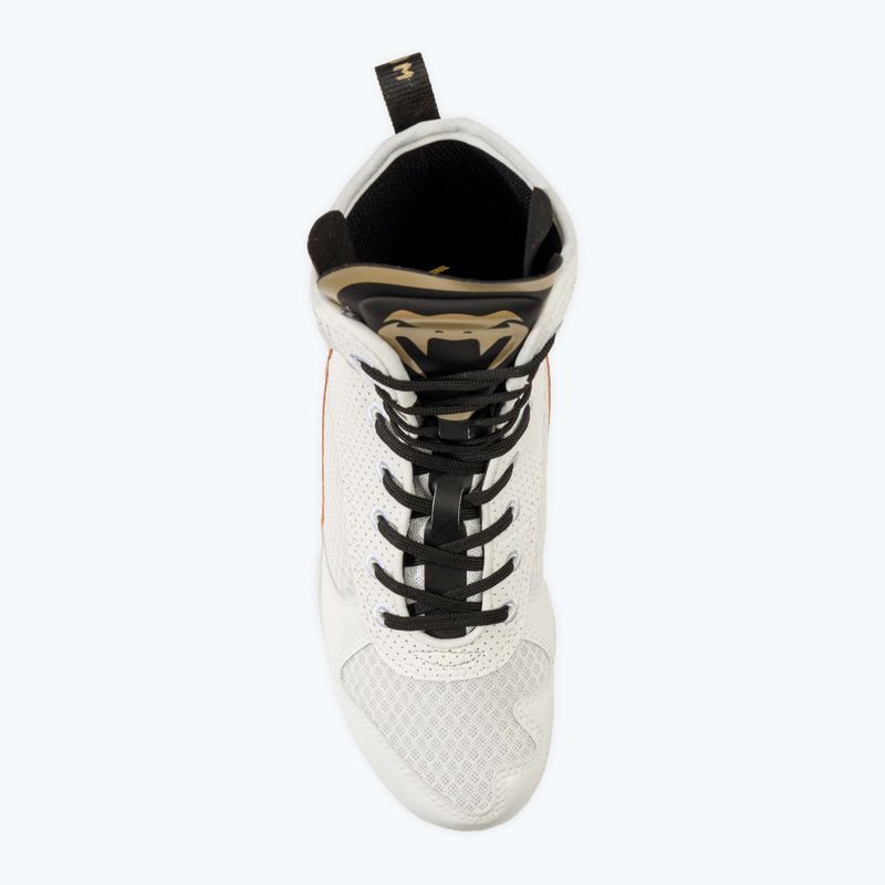 Кросівки боксерські Venum Elite Boxing white/black/gold 6