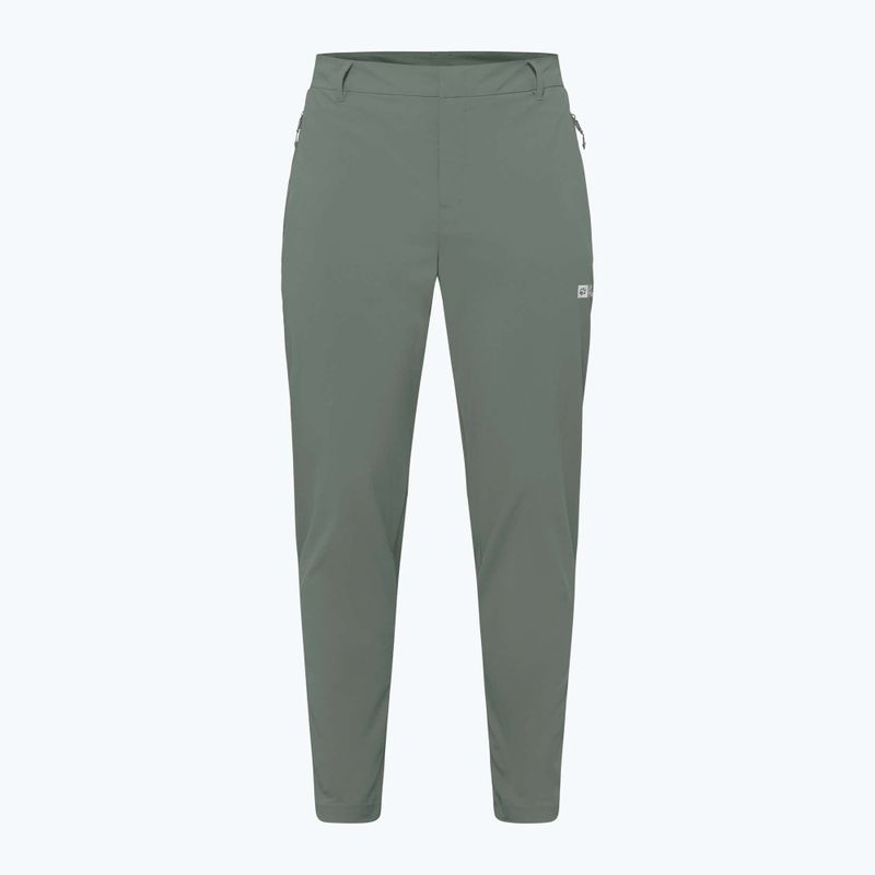 Чоловічі трекінгові штани Jack Wolfskin Hikeout slate green 7