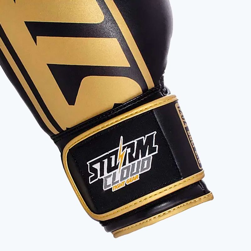 Рукавиці боксерські StormCloud Bolt 2.0 black/gold 11