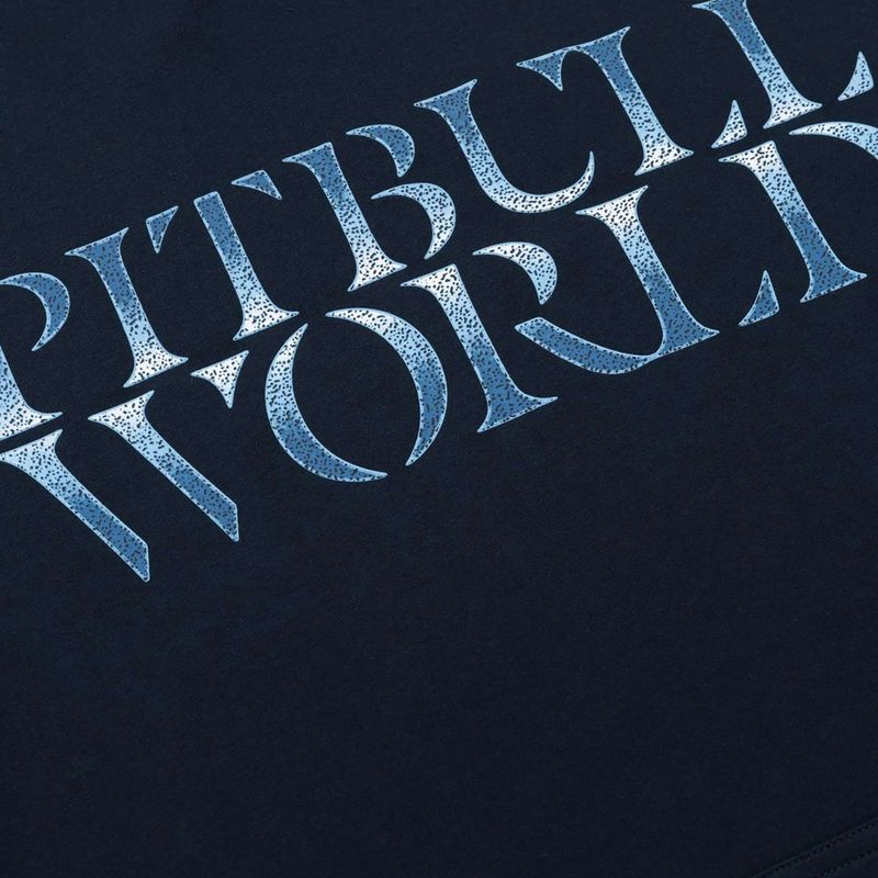 Кофта чоловіча Pitbull World Sweatshirt Hooded dark navy 11