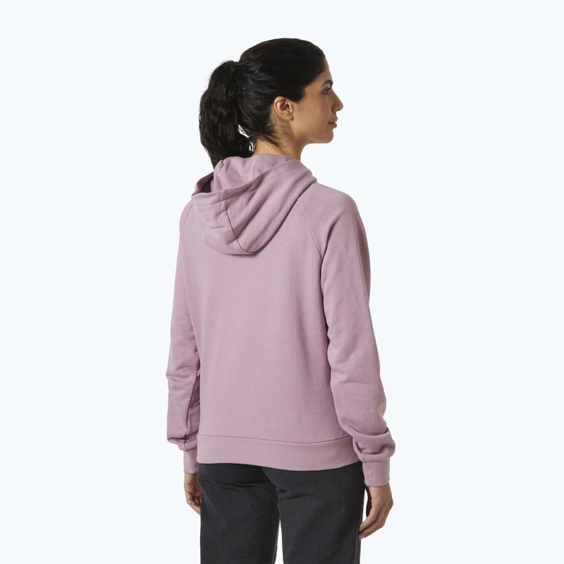 Кофта жіноча Helly Hansen Core Graphic Hoodie purple clay 2