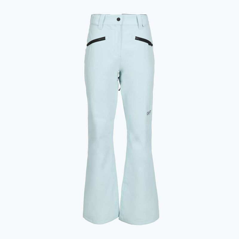 Штани сноубордичні жіночі Colourwear Cork lt blue 9