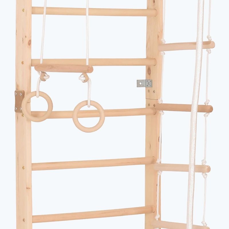 Драбина гімнастична RINAGYM Sport 2 3