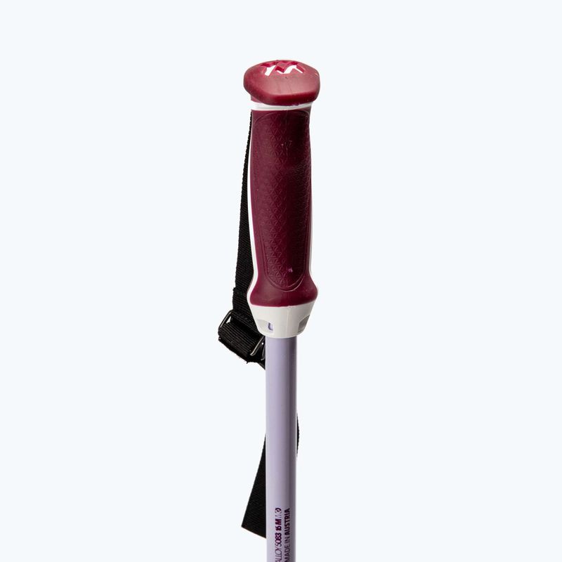 Палиці лижні жіночі Völkl Phantastick W срібрні 141017 3