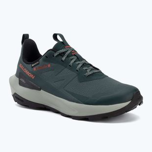 Кросівки туристичні чоловічі Salomon Elixir Activ GTX scarab/green gable