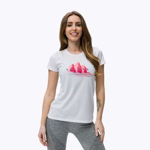 Футболка трекінгова жіноча Salewa Lines Graphic Dry біла 00-0000028064