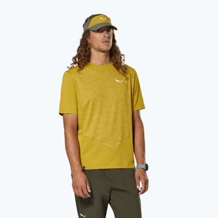Футболка чоловіча Salewa Pedroc Tech Dry olive oil