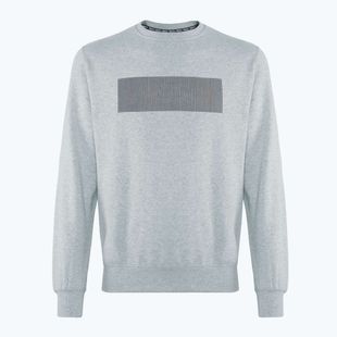 Кофта чоловіча PROSTO Crewneck Cameleo gray
