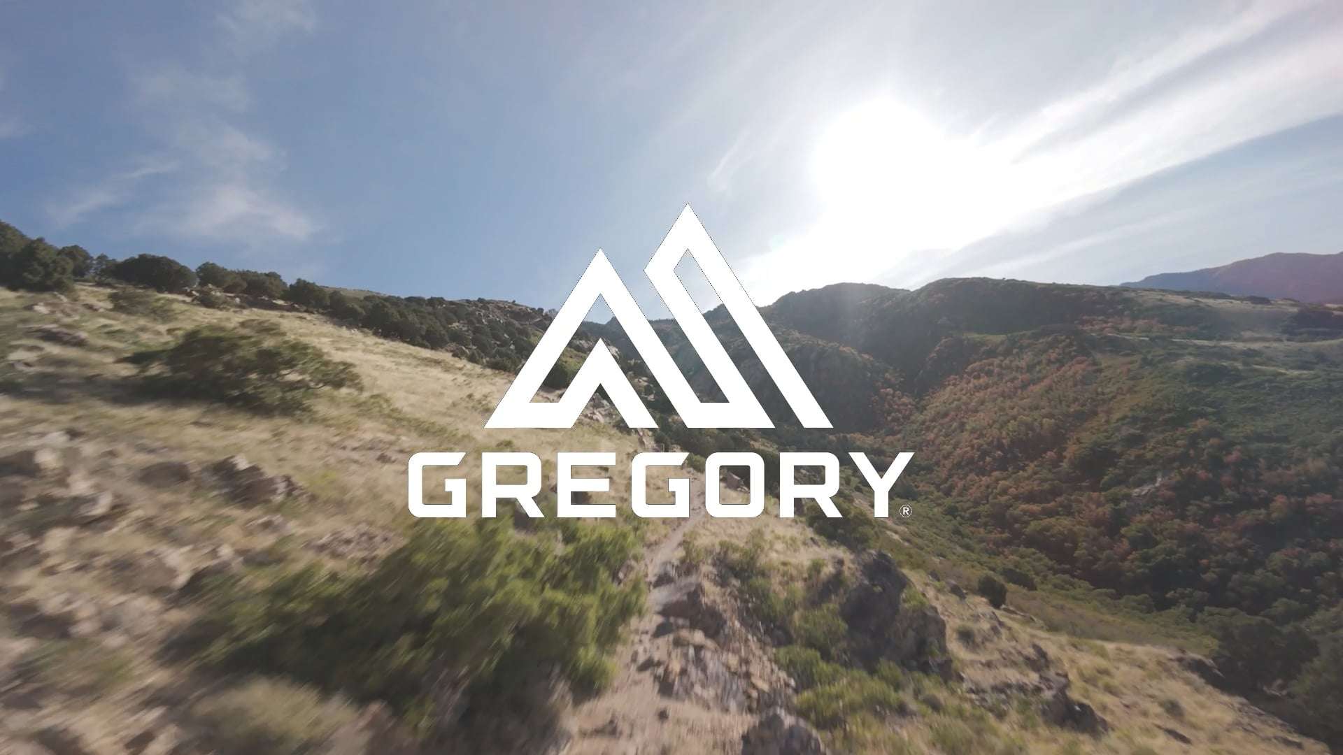 Рюкзак туристичний Gregory Kiro 20 л RC alpine black